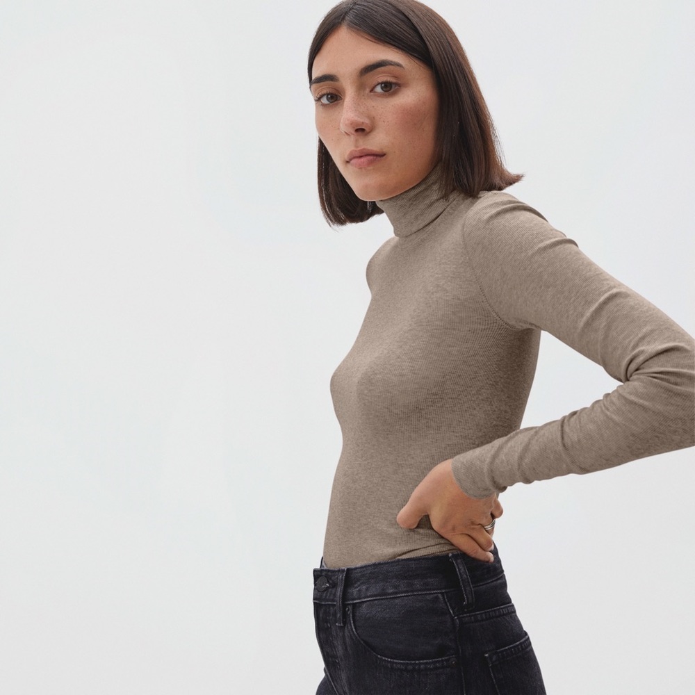 Everlane Pima Micro Rib Turtleneck Heathered Burnt Sugar
